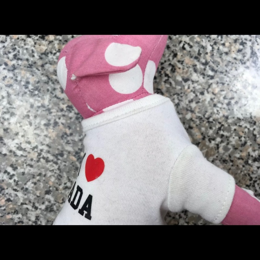 Victoria’s Secret PINK RARE CANADA POLKA DOT DOG HTF - Picture 5 of 10